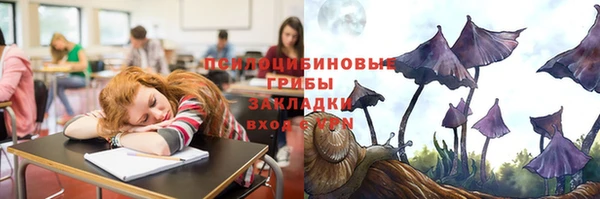 дмт Бронницы